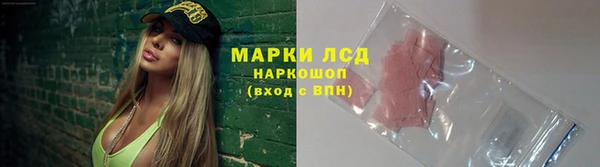 spice Верея