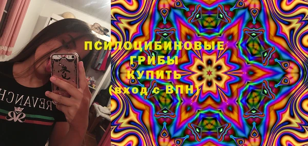spice Верея