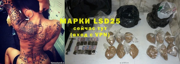 spice Верея